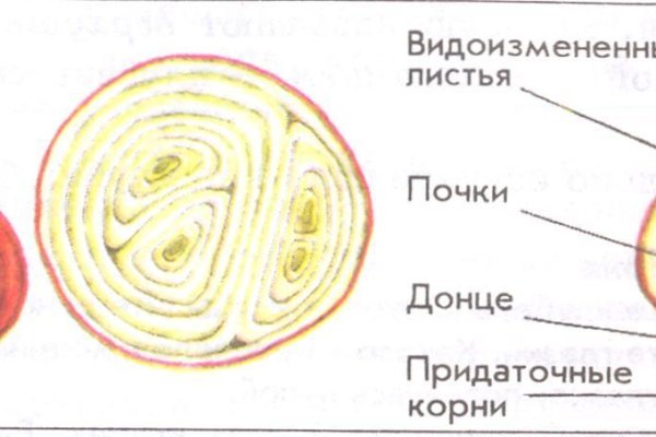 Кракен сайт наркотиков