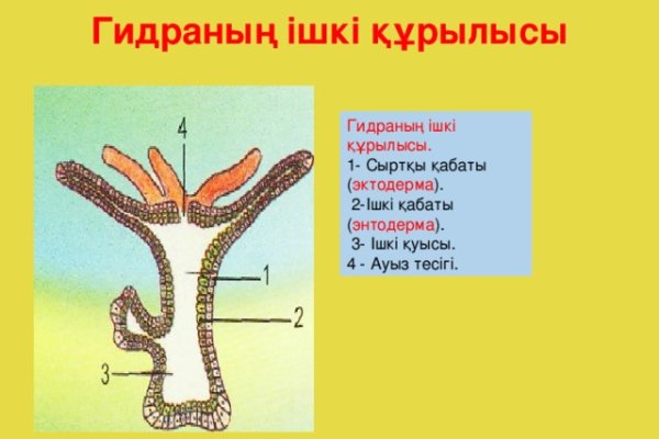 Ссылка на кракен тор